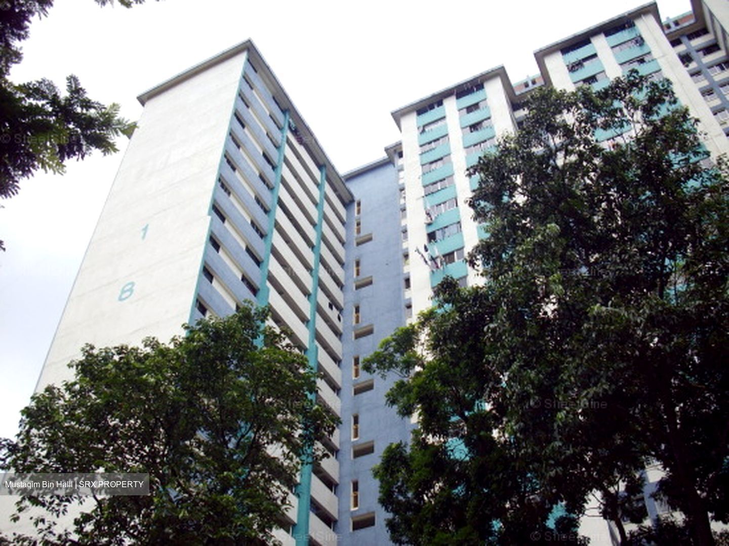 Blk 186 Boon Lay Avenue (Jurong West), HDB 3 Rooms #582833731